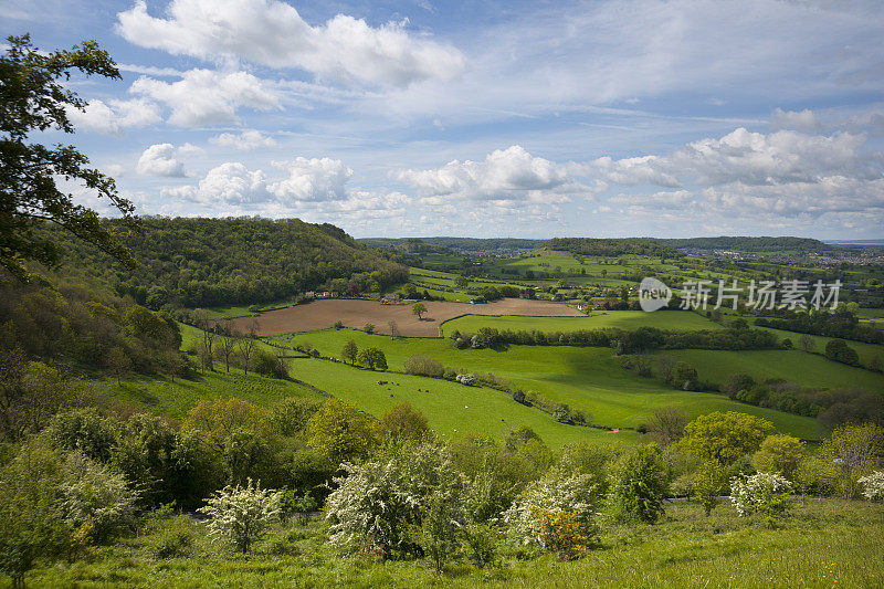 Coaley Peak观点，格洛斯特郡，英国